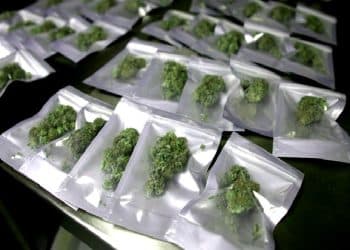 Top 10 Common Problem With Cannabis Packaging