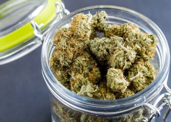 Packaging Tips On How To Keep Your Cannabis Fresh