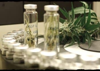 Do You Need To Post All Lab Tested Results On Your Cannabis Packaging?