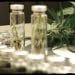 Do You Need To Post All Lab Tested Results On Your Cannabis Packaging?