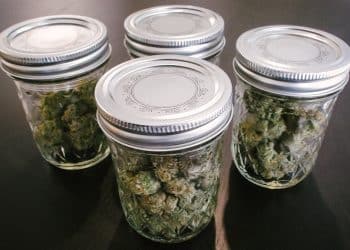 What To Do If Your New Cannabis Packaging Is “Completely” Wrong?!