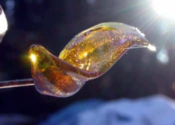 Defining the BEST Extraction. Transition in Testing Technology