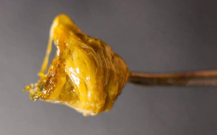 Cannabis Concentrates: Differences Between Microwave and Ultrasonic Assisted Extraction