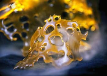 3 Ways Your Neighbor is Extracting Cannabis Right Now