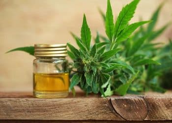 Extraction Market and a Few Things to Know