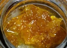 Cannabis Extraction Methods Comparison: Pros and Cons