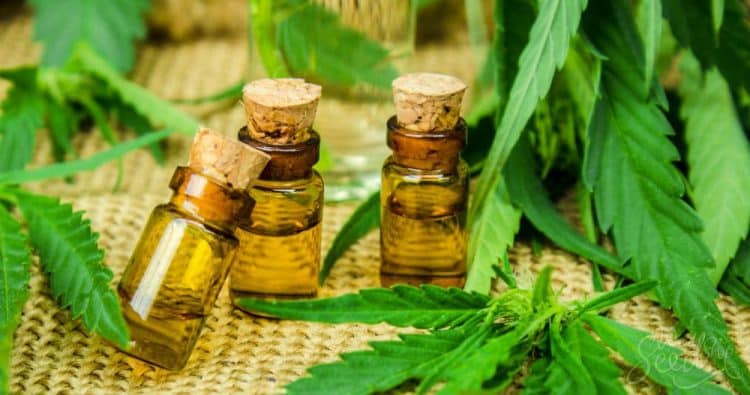 Evolution of Extraction: Catching the Wave of Industry Competence