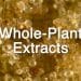 Should I Use an Isolate or a Whole-Plant Concentrate?