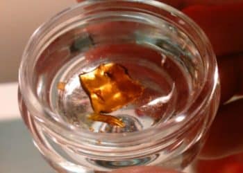 How Cannabis Shatter is Made