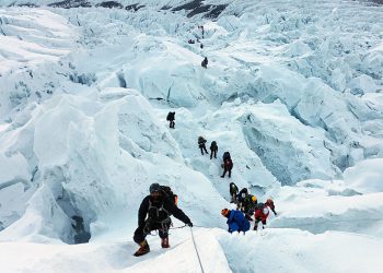 Let’s Talk About Crumble: A Quick Guide to a Quality Extract