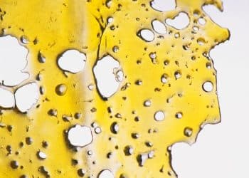 Ultrasound Increases Yields And Cannabinoid Extraction Speed