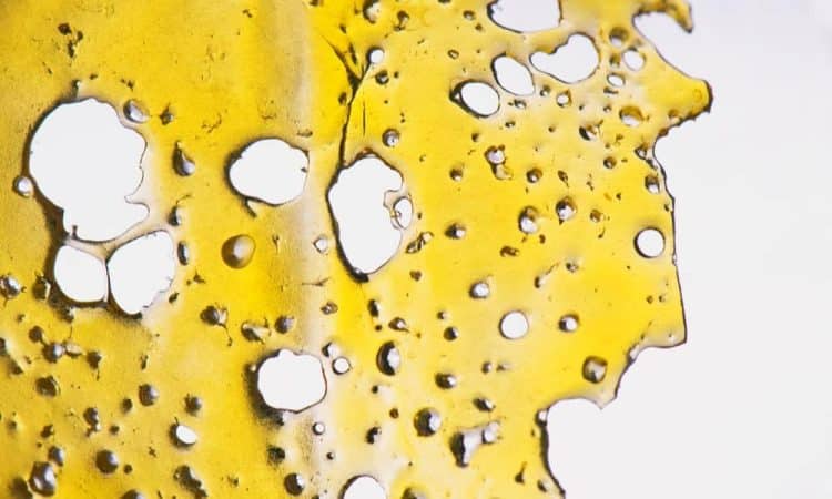 Ultrasound Increases Yields And Cannabinoid Extraction Speed