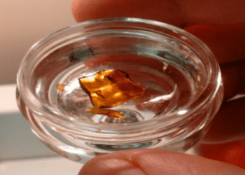 Live Resin: Material and Preparation