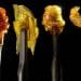 Is Dabbing Cannabis Safe or Pose Health Risks?