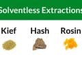 Different Types of Solventless Extraction