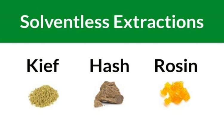 Different Types of Solventless Extraction