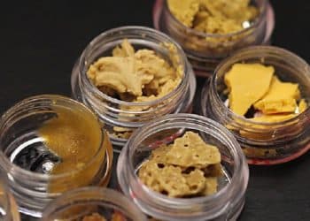 The Different Types of Cannabis Extracts Explained