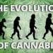 The Evolution of Cannabis’ Compounds Through Modern Extraction Methods