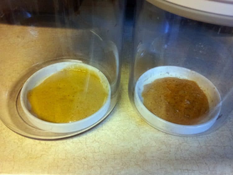 Are Vacuum Purge Ovens Worth the Payout?