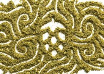 The Hash in Your Craft Beer is Actually…Legal ?