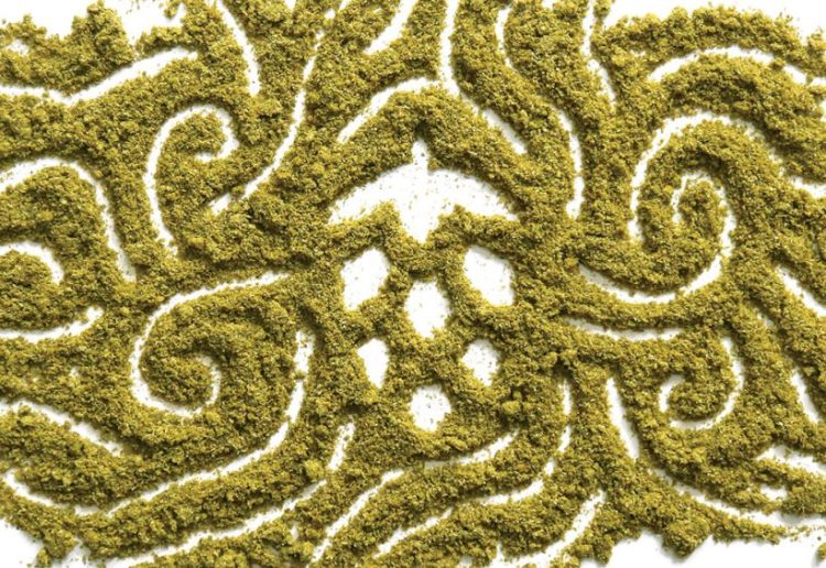 The Hash in Your Craft Beer is Actually…Legal ?