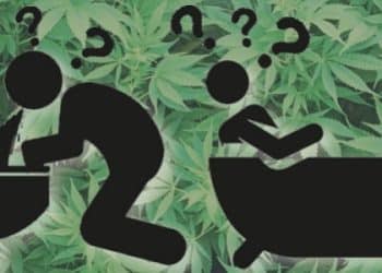 Health Problems Associated with Toxins in Cannabis