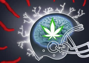 What’s in a Flower? A Cannabinoid Mind Game