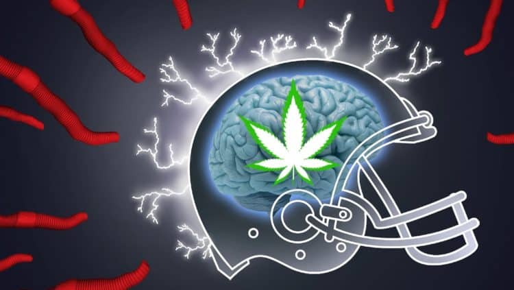 What’s in a Flower? A Cannabinoid Mind Game