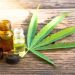 Emerging Opportunities in the Cannabis Extracts Market