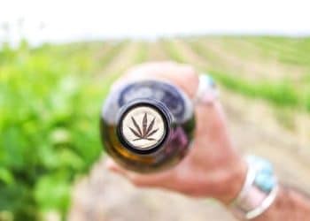 Water-Soluble Cannabinoids