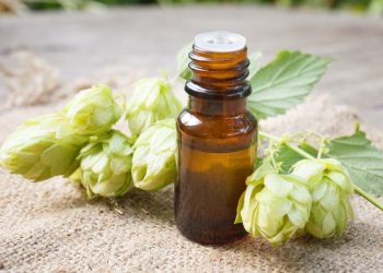 Squeezing  the Life Out of Hops: Are Hop Oils the Elixir of Life?
