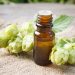 Squeezing  the Life Out of Hops: Are Hop Oils the Elixir of Life?