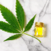 First CBD Oil Skincare Line Designed by A Medical Doctor, TEScosmetics™, Makes Market Debut Today