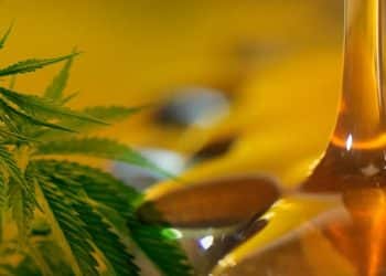 Cannabis Extractions can be a Bumpy Ride