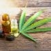 RAVE Reviews Releases Ranking of Best CBD Oil for Pain