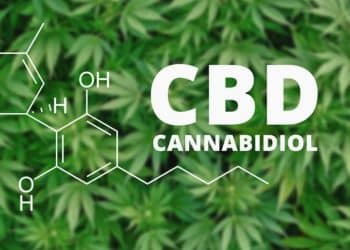 Prime Sunshine, Charlotte, NC’s First Cannabidiol (CBD) Dispensary and Corporate Sales Office Opens