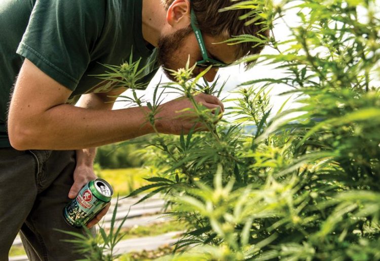 Sproutly Develops Cannabis and Hemp Infused Functional Beverage Portfolio