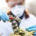 Aphria’s Australian-Based Partner Althea Granted Manufacture License