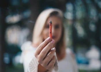 Your Dream Job is Here: Travel. Smoke Weed. Get Paid