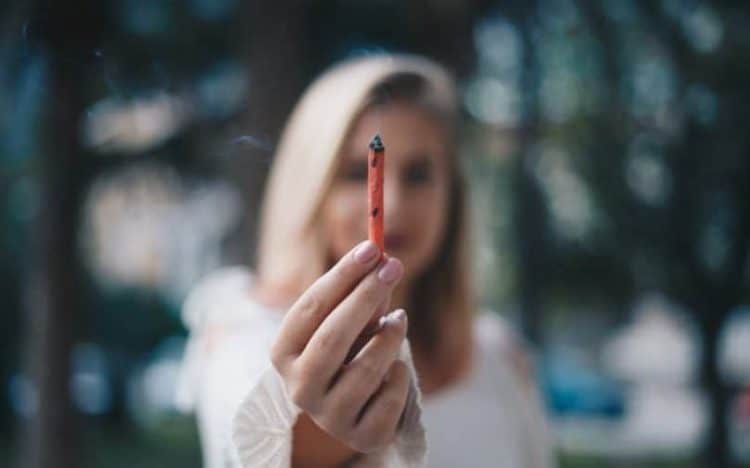 Your Dream Job is Here: Travel. Smoke Weed. Get Paid