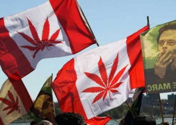 ‘Blow themselves up:’ Police worried about home butane hash oil extractions