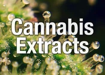 Benefits of Cannabis Extraction