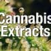 Benefits of Cannabis Extraction
