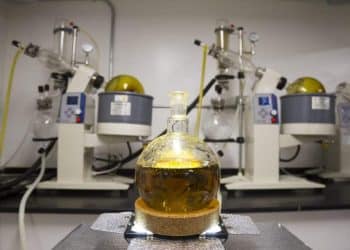 The Best Features of the Three Big Extraction Methods: CO2, Butane, and Ethanol