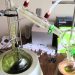 CANNABIS DISTILLATION & DRYING VACUUM SYSTEM IS FULLY SELF-CONTAINED