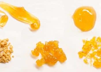 Wax vs. Live Rosin