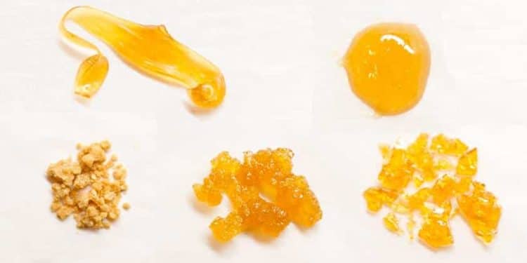 Wax vs. Live Rosin