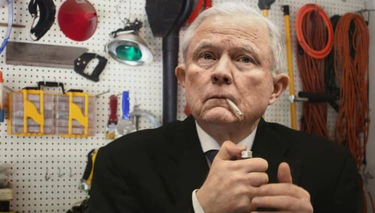 The Orange and the Elf