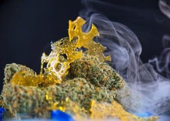 What is the Difference Between an Extract and a Concentrate ?