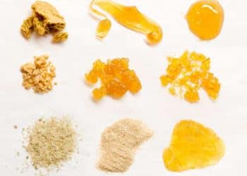 Butane Hash Oil (BHO) Focused Companies